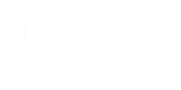ACE GROUP logo