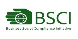 BSCI certificate