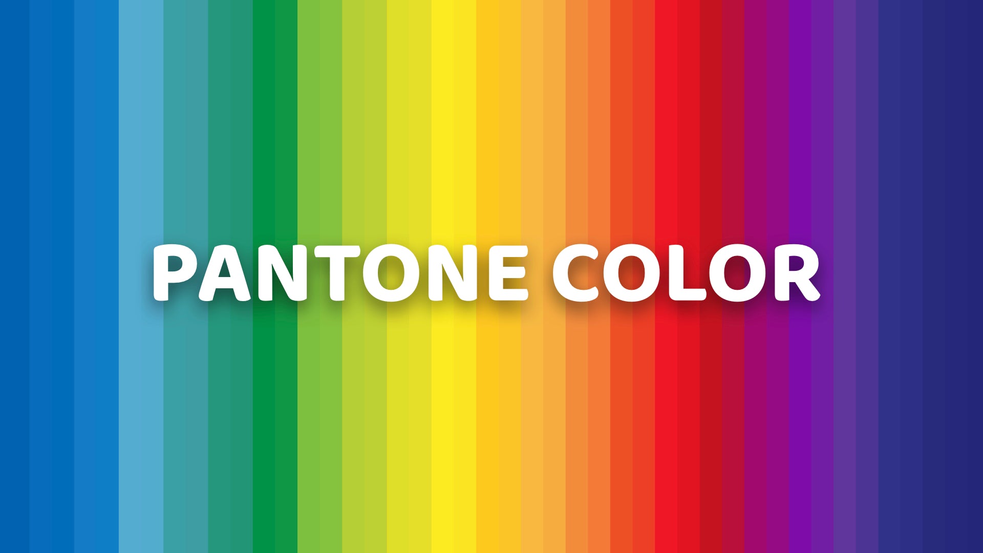 Pantone Color Solid Coated Reference